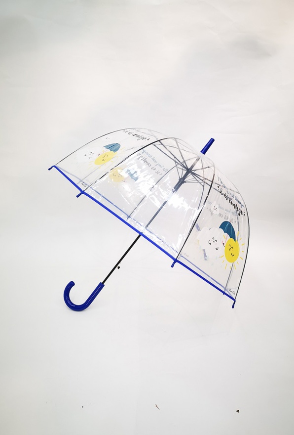 detail Průhledný holový deštník