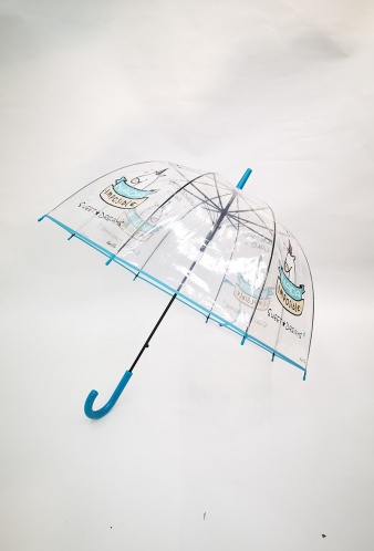 Průhledný holový deštník